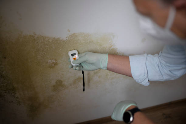 Mold Removal and Inspection in Valley Green, PA