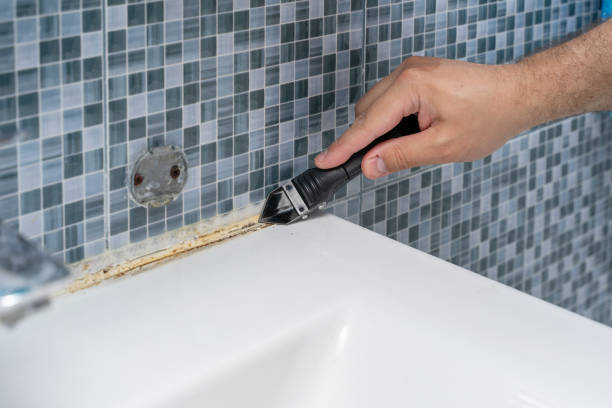 Best Residential Mold Removal  in Valley Green, PA